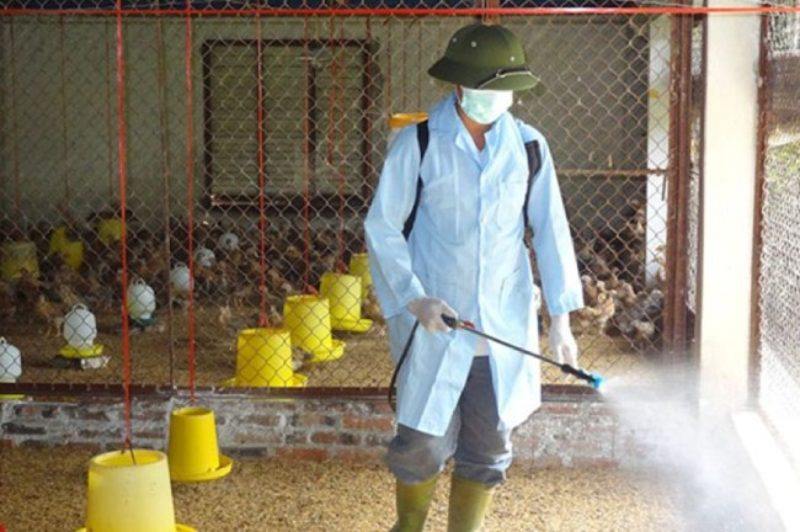 Một số biện pháp phòng bệnh hiệu quả khi nuôi gà