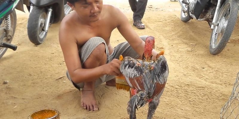 Hướng dẫn chi tiết các bước vào nghệ