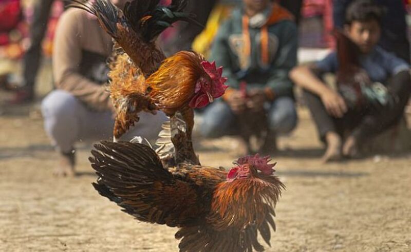 Nắm bắt điểm yếu của đối thủ