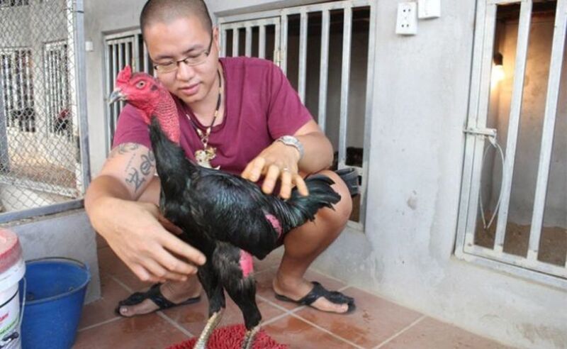 Bước 3: Rèn luyện thể lực