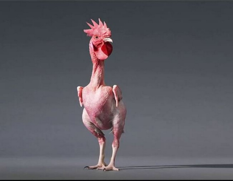 Về mặt kinh tế