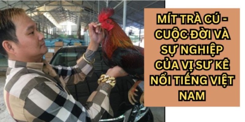 Những thông tin cơ bản