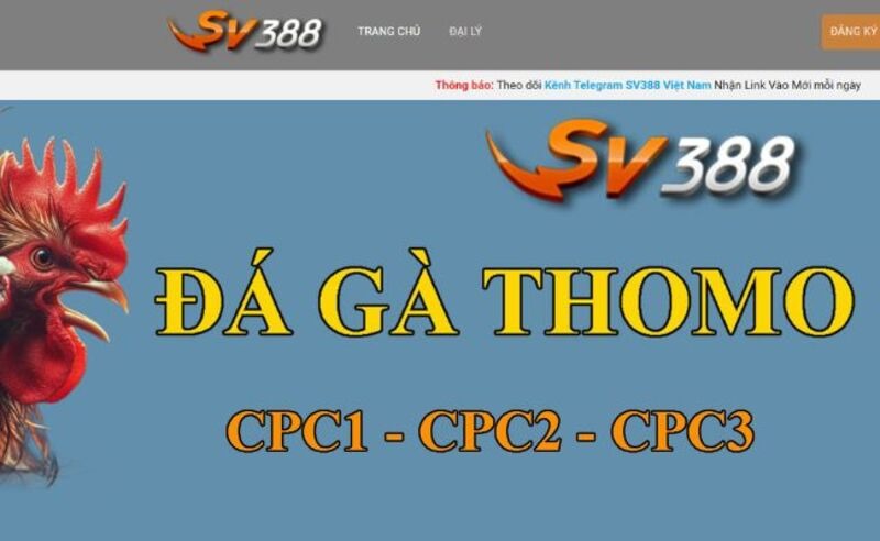 SV388 cung cấp rất nhiều link xem đá gà hấp dẫn cho anh em.