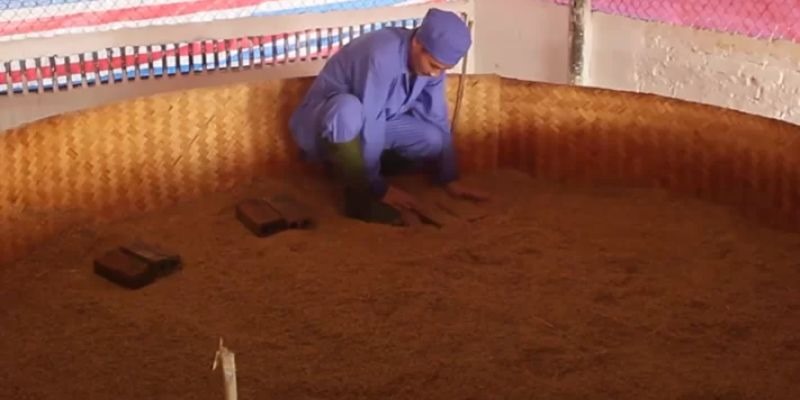 Chọn chất độn chuồng phù hợp