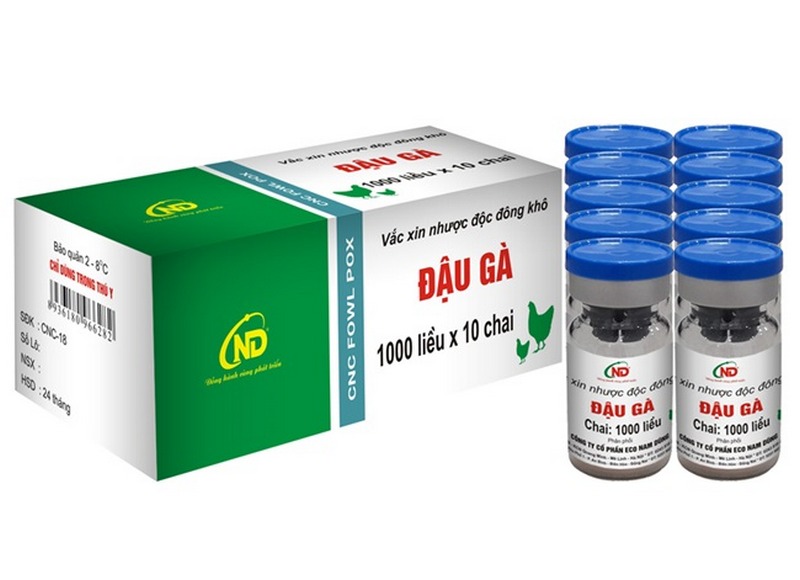 Các loại vacxin cho gà và công dụng bạn cần biết